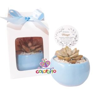 Bautizo - Maceta celeste suculentas variadas