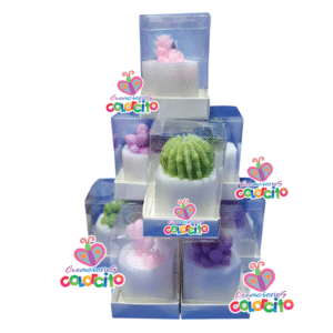 Baby shower - Vela diseño varios en caja