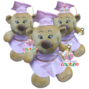 Graduación - Peluche Osa con toga vestido rosa